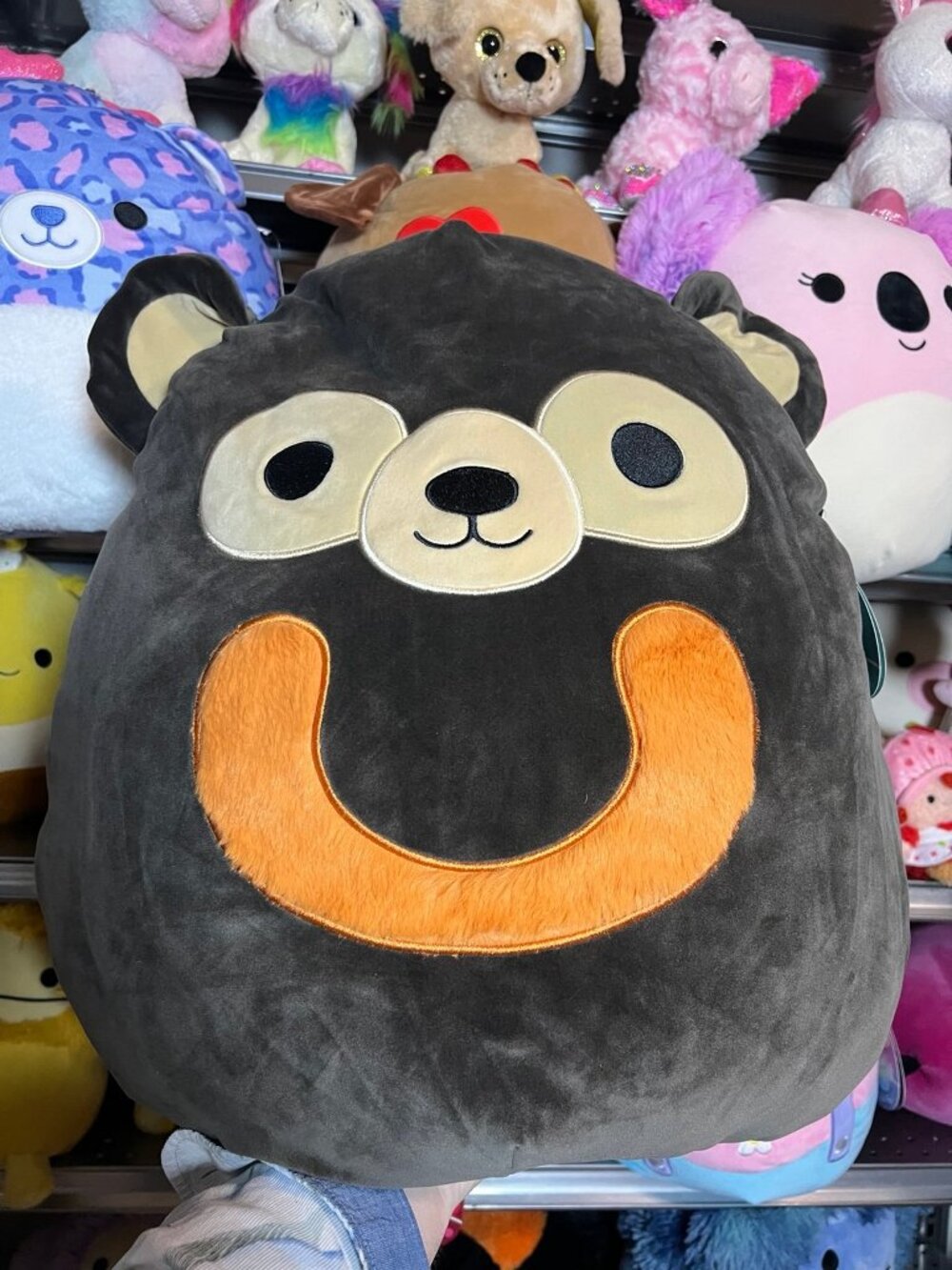 Squishmallows Maltese The Black Brown Sun Bear 20 inch NWT